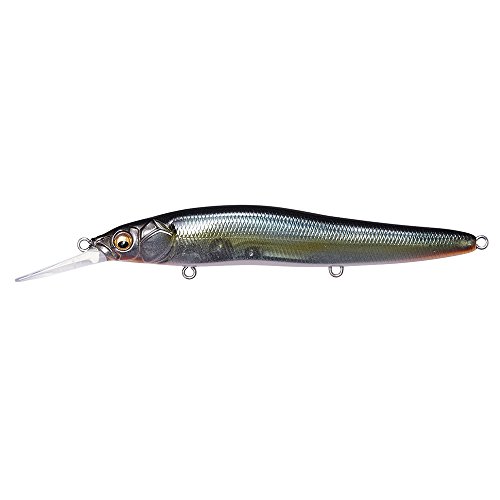 ◆商品名：メガバス(Megabass) ルアー ONETEN R+1(ワンテン R+1) 塾長シャッド